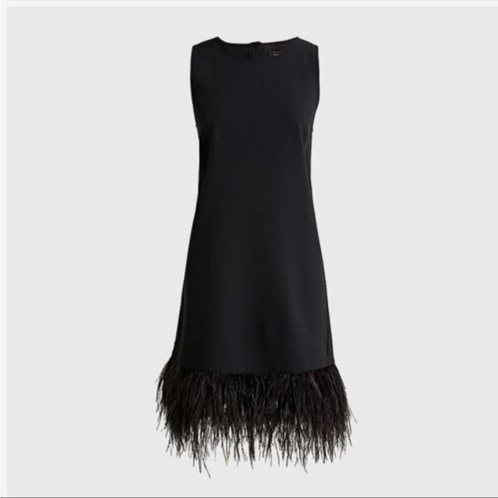J crew feather trim dress